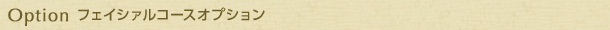 Option フェイシァルコースオプション